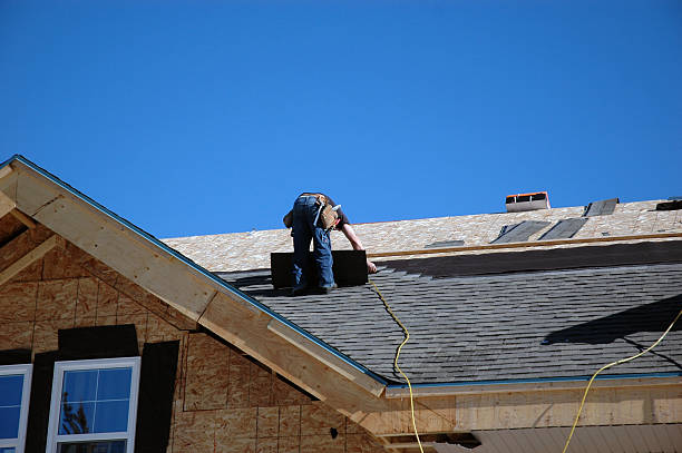 Best Storm Damage Roof Repair  in Brundidge, AL
